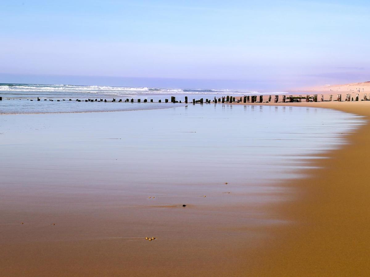 Studio Renove Face A La Dune, Proche Plage Et Commerces, Ideal Pour 2 Personnes - Fr-1-239-150 Seignosse Exterior photo